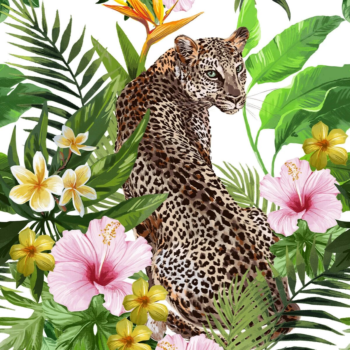 animals