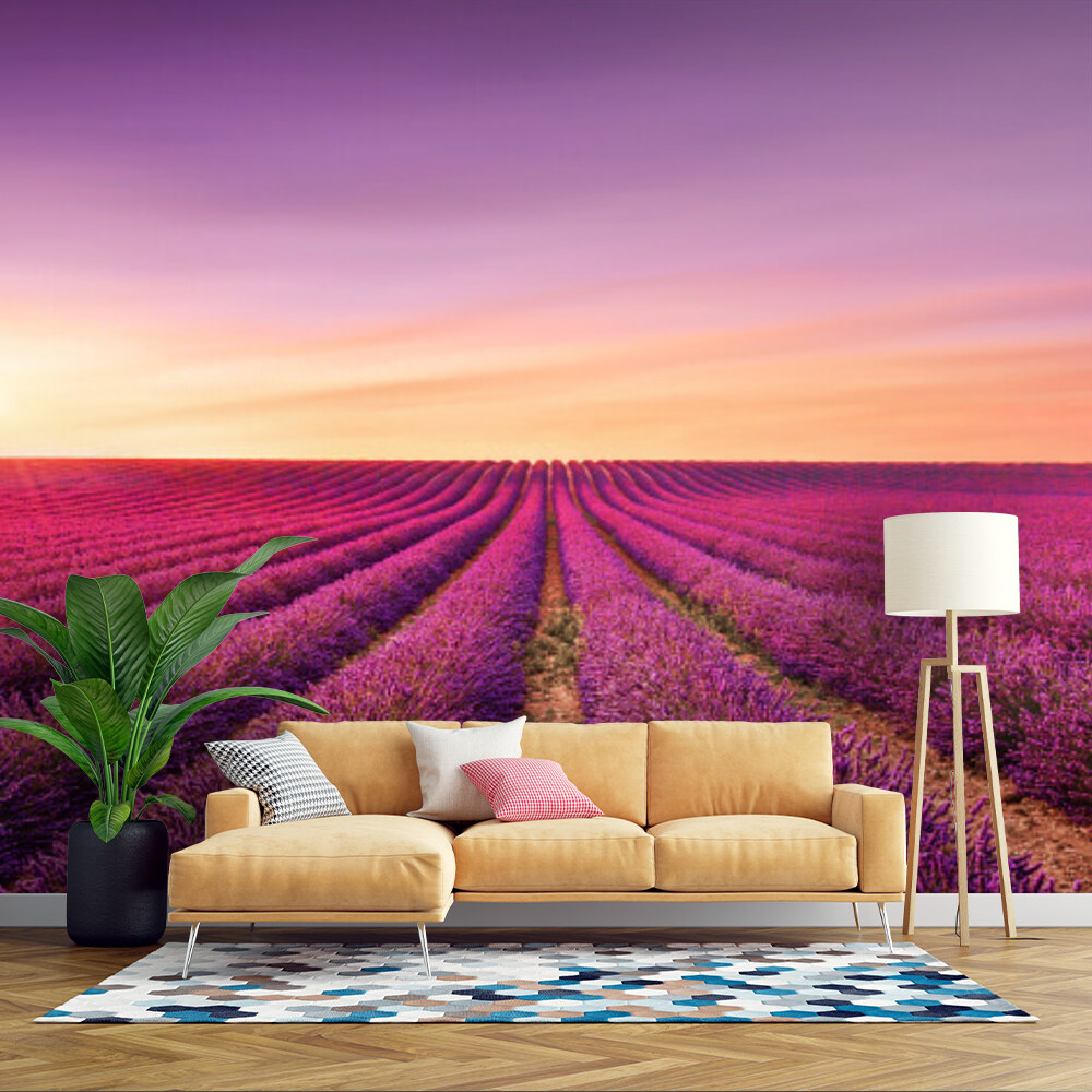 Lavender Field Sunset
