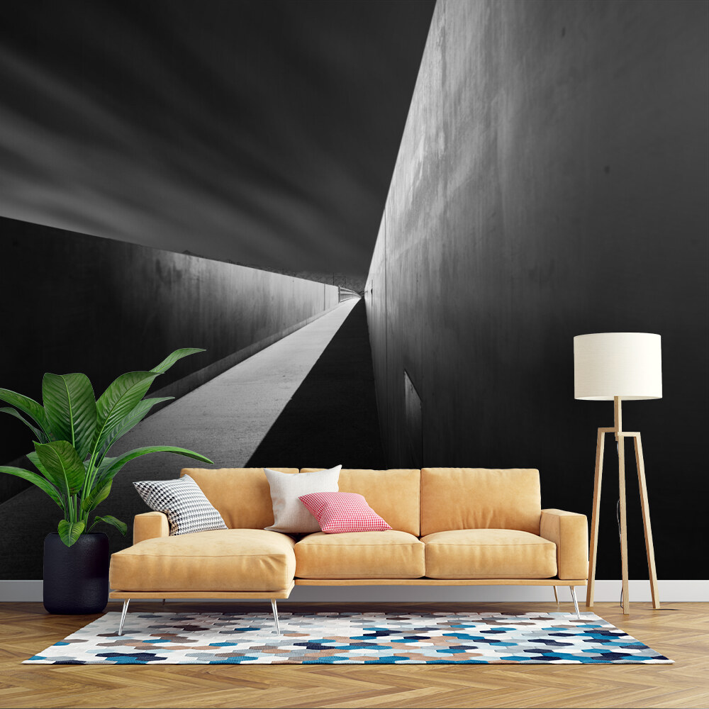 Sleek Monochrome Passage