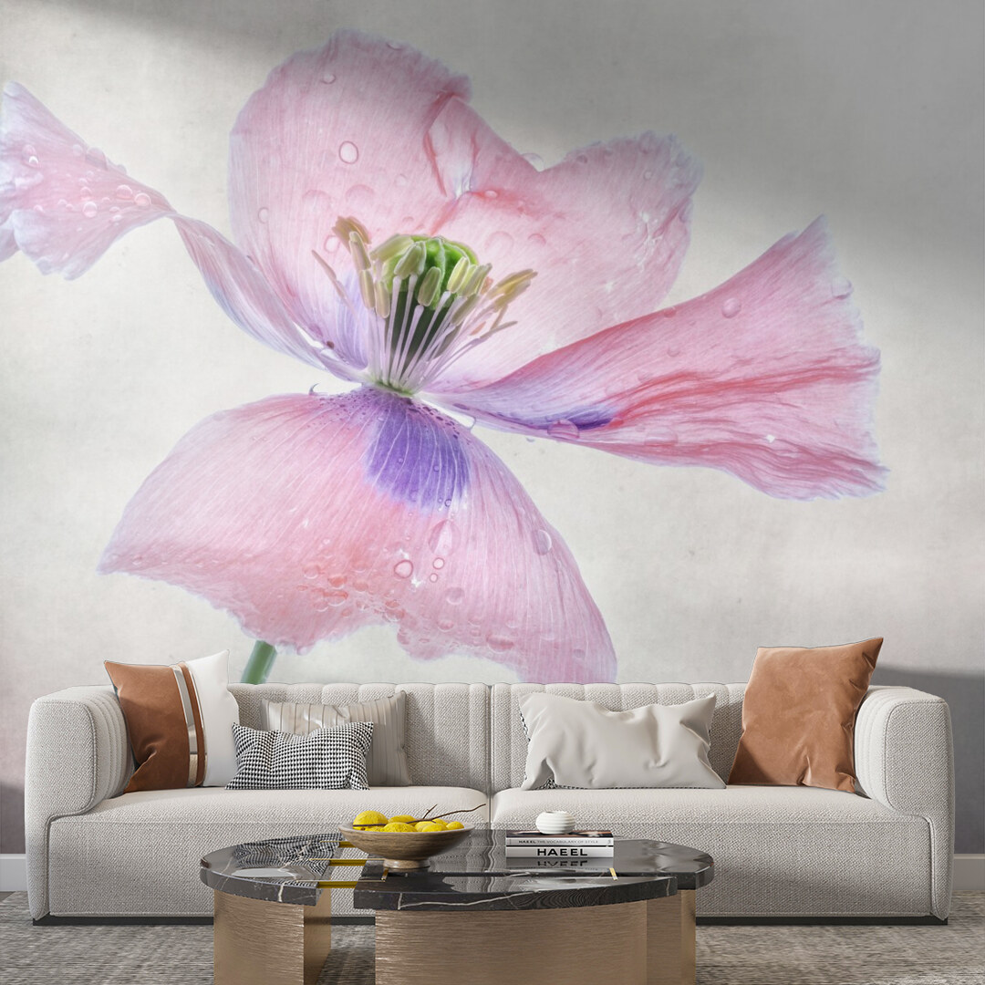 Ethereal Pink Poppy