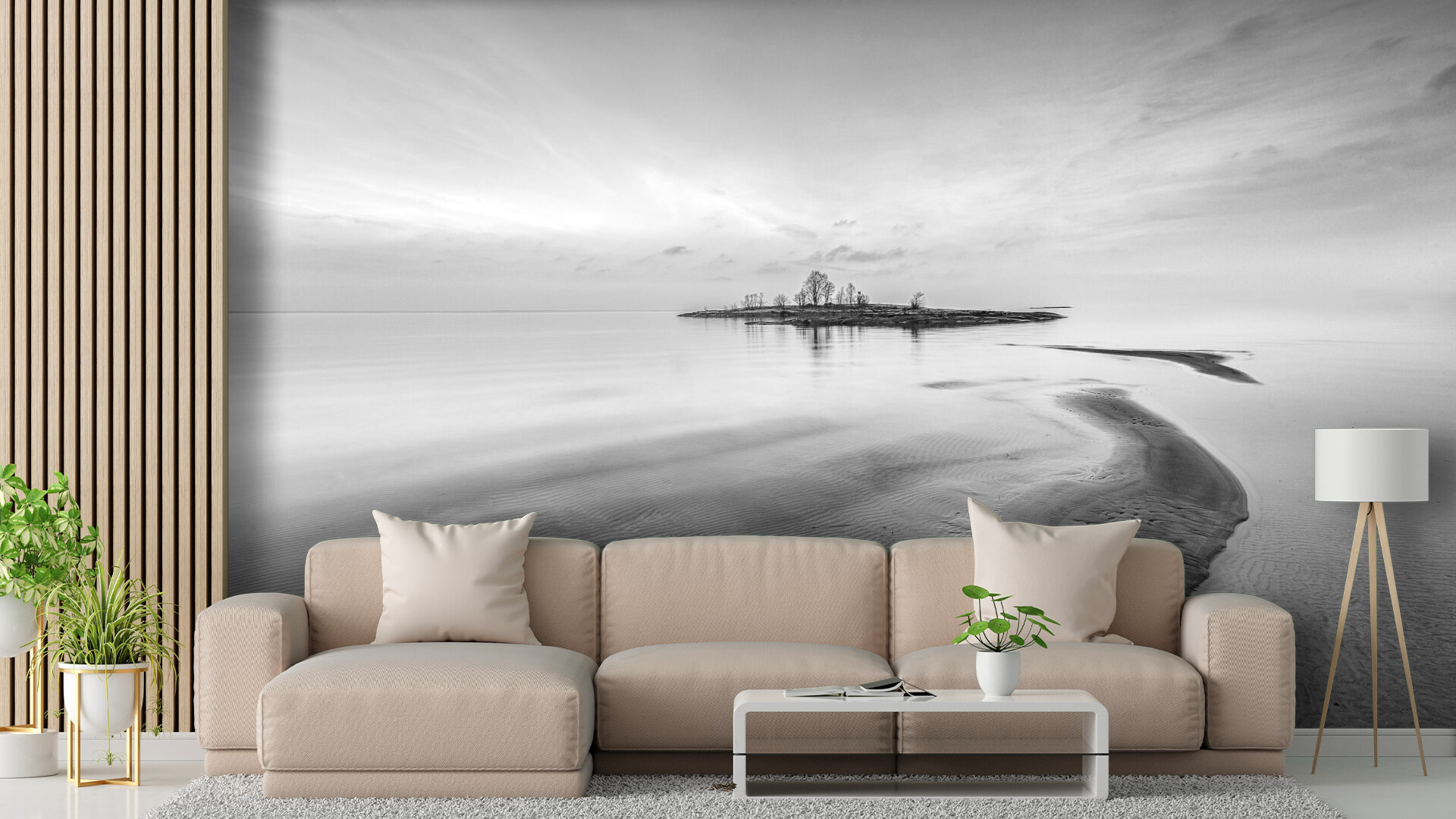 Tranquil Shores