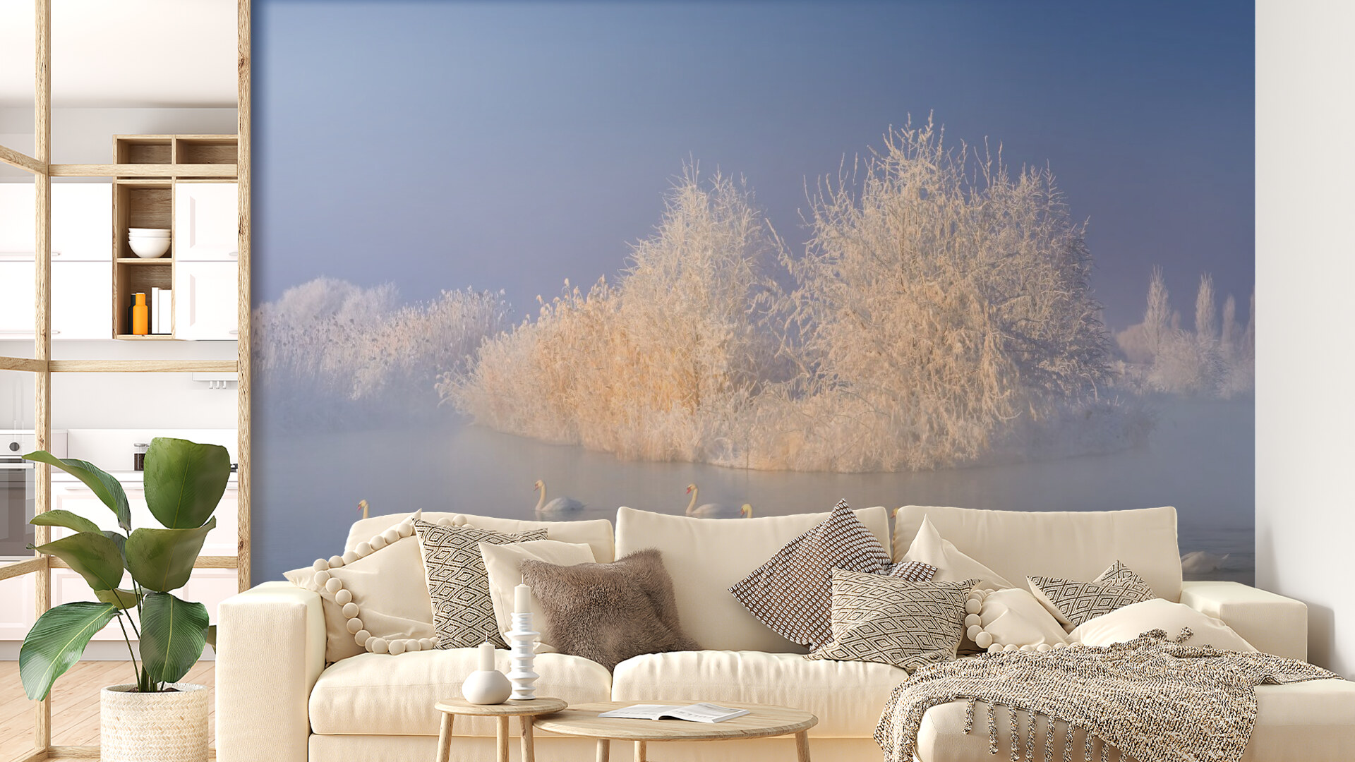 Serene Winter Swans