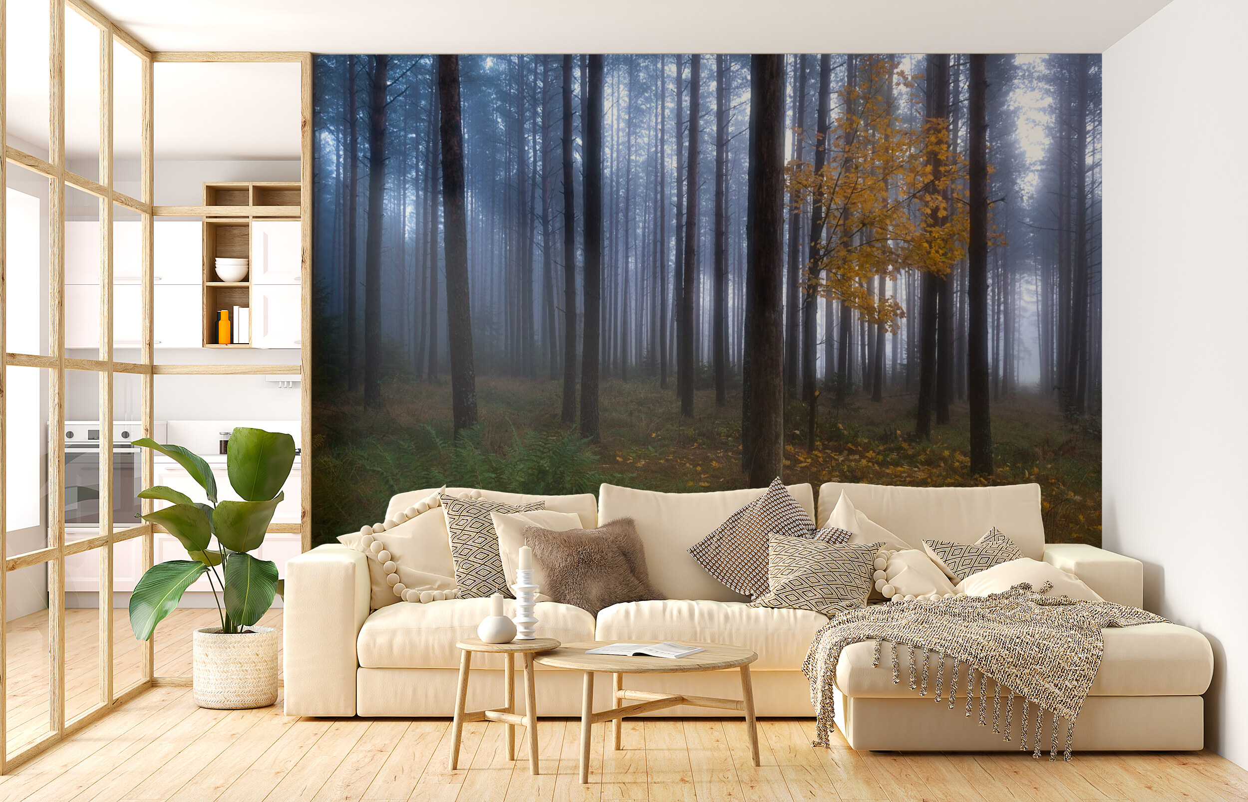 Misty Forest Morning