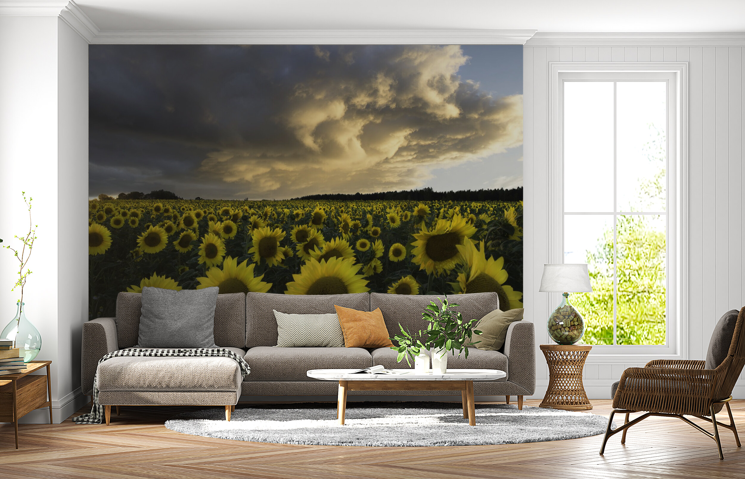 Sunset Sunflower Field