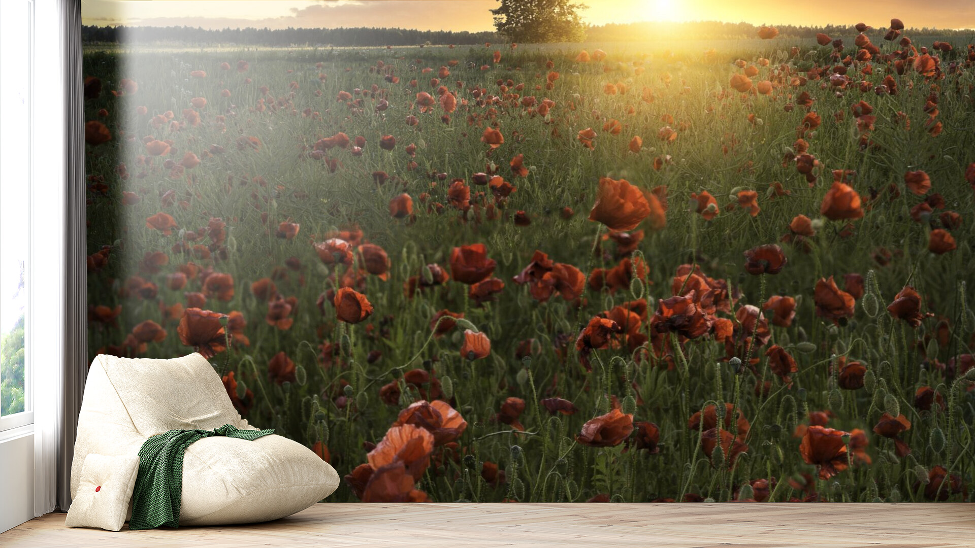 Sunset Poppies Field