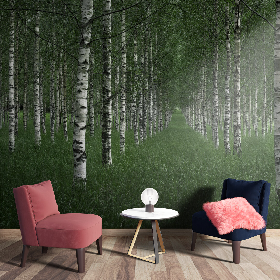 Serene Birch Forest
