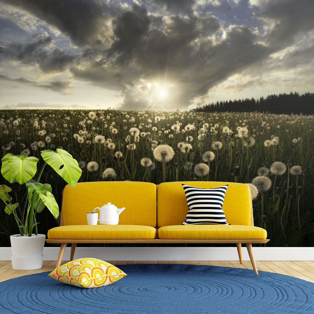 Sunset Dandelions
