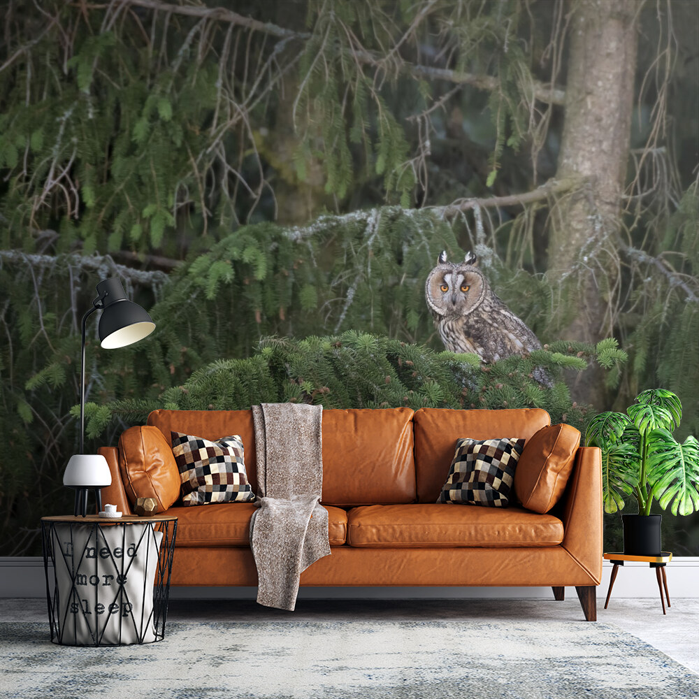 Mystic Forest Owl