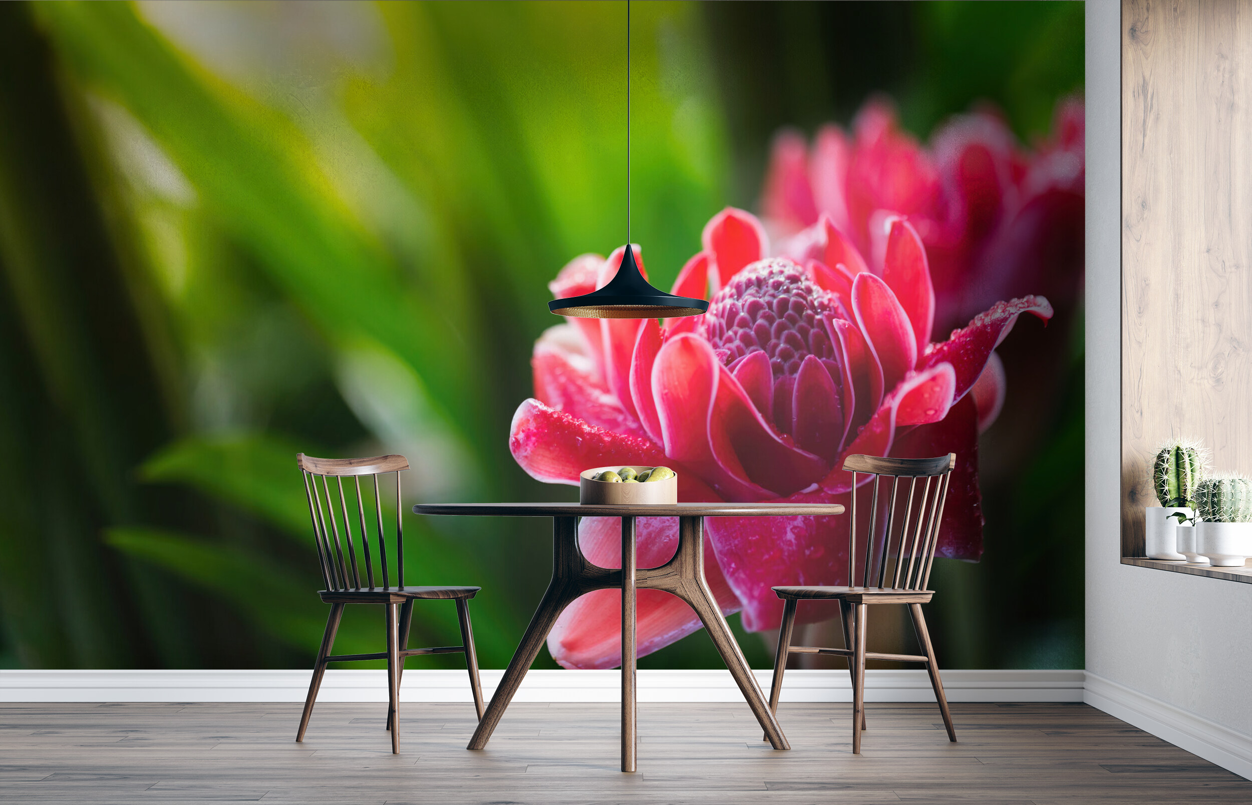 Tropical Radiance