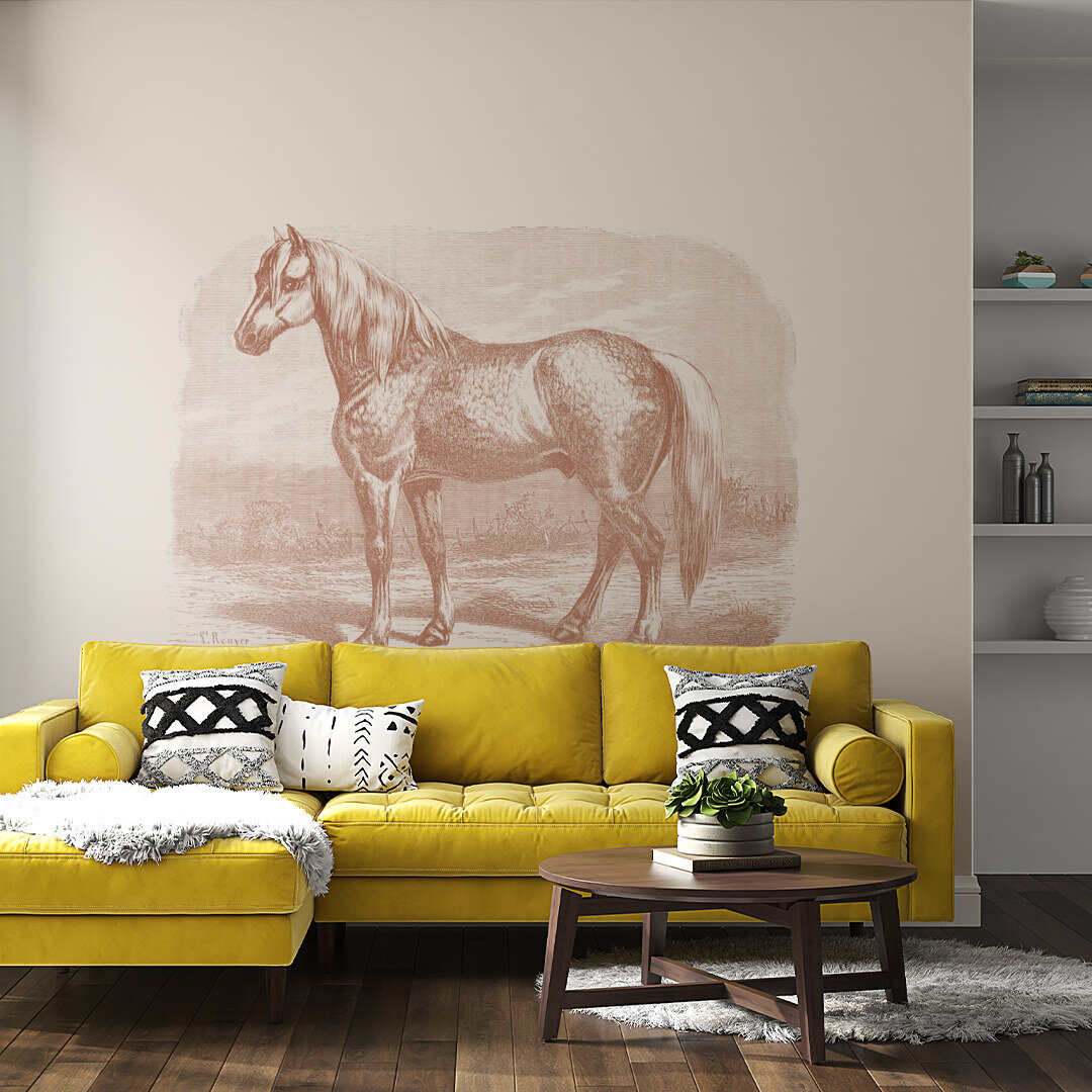 Horse  Monochrome Illustration