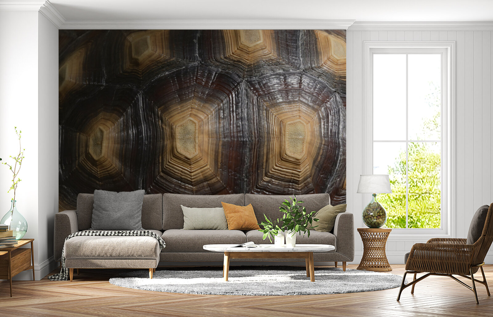 Turtle Shell Elegance