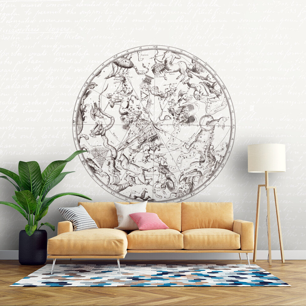 Sky Map with Zodiac Signs - Sepia